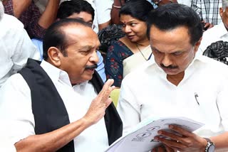 stalin vaiko