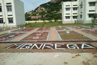 Under the Narega project Garden construction  In Residential school campus