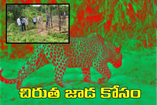 Forest officials traced leopard in Rajendranagar