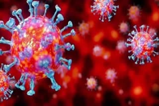 Coronavirus new cases and deaths in India
