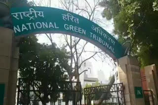 ngt order to haryana government