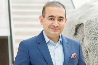 Nirav Modi UK extradition judgment to be delivered after Dec 1