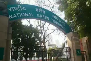 NGT order regarding illegal scrap units