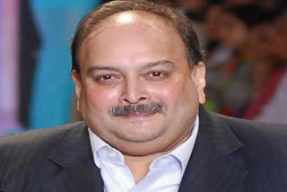 delhi hc may hearing today petition of mehul choksi against netflix documentary bad boy billionaires