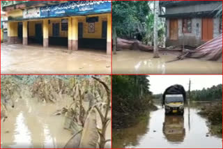 dirty smell is raised due to stagnant flood water in konaseema at east godavari