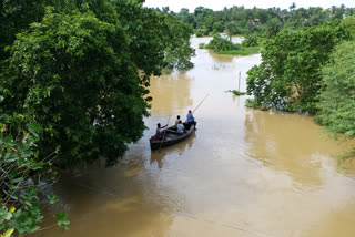 উড়িশা