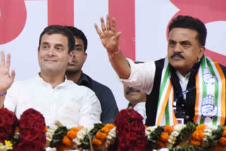 sanjay nirupam latest news  sanjay nirupam tweet  sanjay nirupam on congress president issue  congress president issue  काँग्रेस अध्यक्षपदाच्या प्रकरणावर संजय निरुपम  संजय निरुपम लेटेस्ट न्यूज