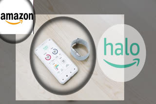 Amazon Halo app and Amazon Halo band ,Amazon Halo