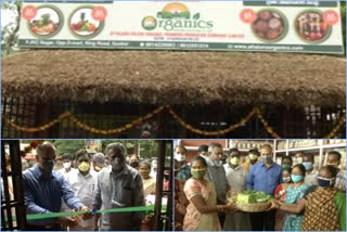 organic center started in guntur dst