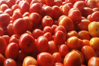 tomato prices hike