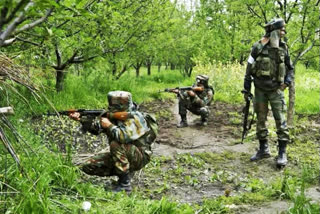 militants killed in Shopian encounter