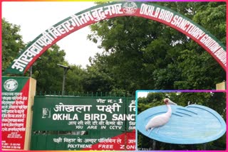 Okhla bird sanctuary will open from 15 September