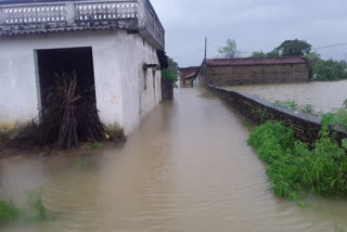 Floods in many villages due to continuous rains in Janjgir Champa