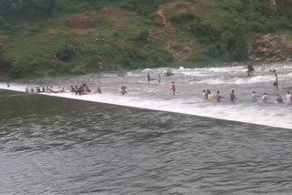 villagers-jumped-into-flood-to-catch-fish-in-kawardha