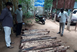 19 red sandals caught by task force in chittoor district and a person arrested