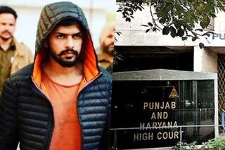 punjab and haryana high court sent notice to haryana government on lawrence bishnoi petition