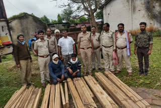 42 pieces of teak chapat seized from tractor trolley, two accused arrested