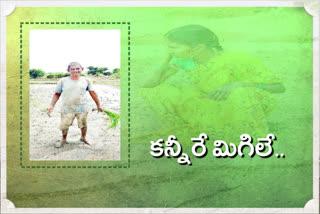 huge crop loss in narsampet constituency  due to rain