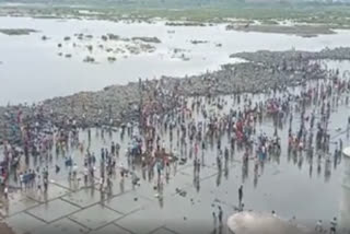 fish honting at parvathi baarege in peddapalli district