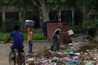 Mountain of garbage in front of government hospital in loharu