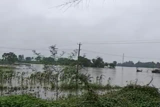 krishna-river-inflow-decreased-from-last-two-days