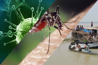 COVID 19 dengue and flood situation in Bengal