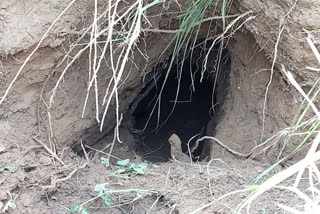 BSF detects tunnel along India-Pak border in Jammu
