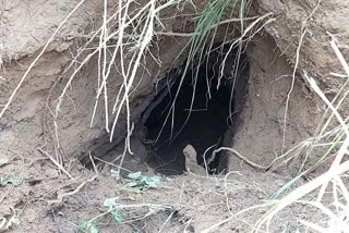 Tunnel found in india pakistan boarder  india pakistan boarder  ഇന്ത്യാ പാക് അതിര്‍ത്തി  തുരങ്കം കണ്ടെത്തി