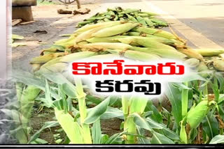 sweet corn farmers problems due to corona in east godavari district