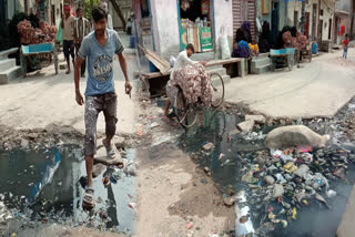 litter problem in awadh vihar kirari