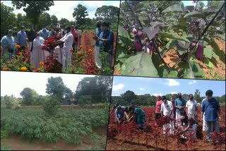 malappuram farming  thavanoor malappuram  thavanoor panchayath  തവനൂർ ഗ്രാമപഞ്ചായത്ത്  തവനൂർ മലപ്പുറം  മലപ്പുറം കൃഷി