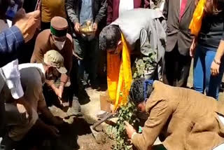 High court judge Trilok Singh Chauhan planted sapling in Kinnaur