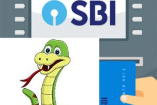 snake found in vizag collectorate sbi atm and later caught by snake catchers