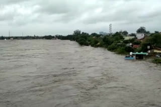 nagpur flood update