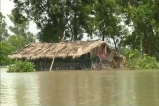 flood situation in chikhili village