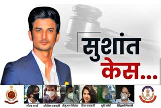 sushant death case