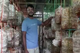 Narayanpur boy mushroom farming