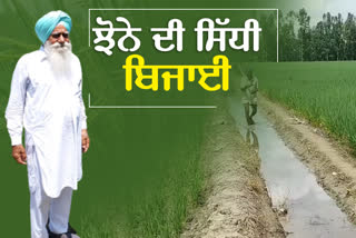 Direct sowing of paddy has benefited the farmers