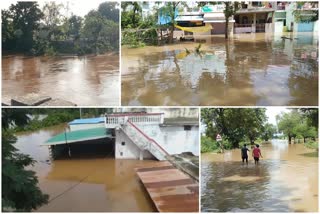 Gondia Flood