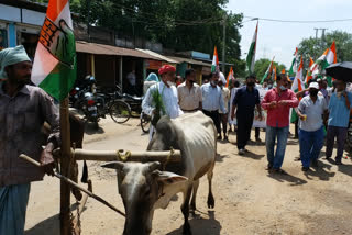 বিক্ষোভ কংগ্রেসের