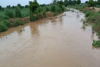 भरतपुर में बारिश,  Bharatpur news,  rajasthan news,  etvbharat news,  rajasthan hindi news,  heavy rain in Bharatpur,  भरतपुर का तापमान,  भरतपुर में सूखे नहर