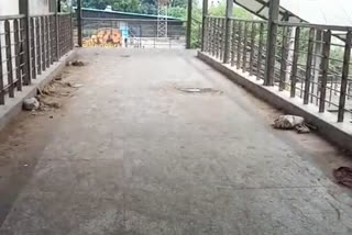 garbage and dust over bridge at mundka area