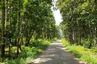 Jupangbari a special village at Assam-Meghalaya Border