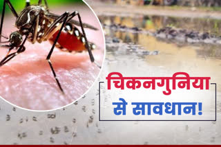 chikungunya during rainy season