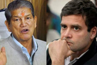 'No old vs young problem in Congress, Rahul should take over party'