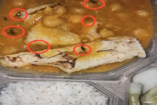 cockroach found in corona patients food at covid care center panchkula