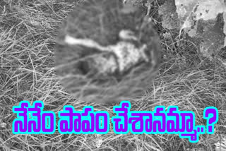 small kid dead body found in basavarajukandriga chitthore district