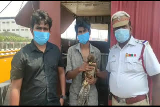 traffic-policeman-gives-first-aid-to-hawk-battling-injuries