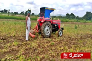 A crop destroyed by extreme rainfall