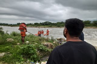 Sirohi shedding in the young man river